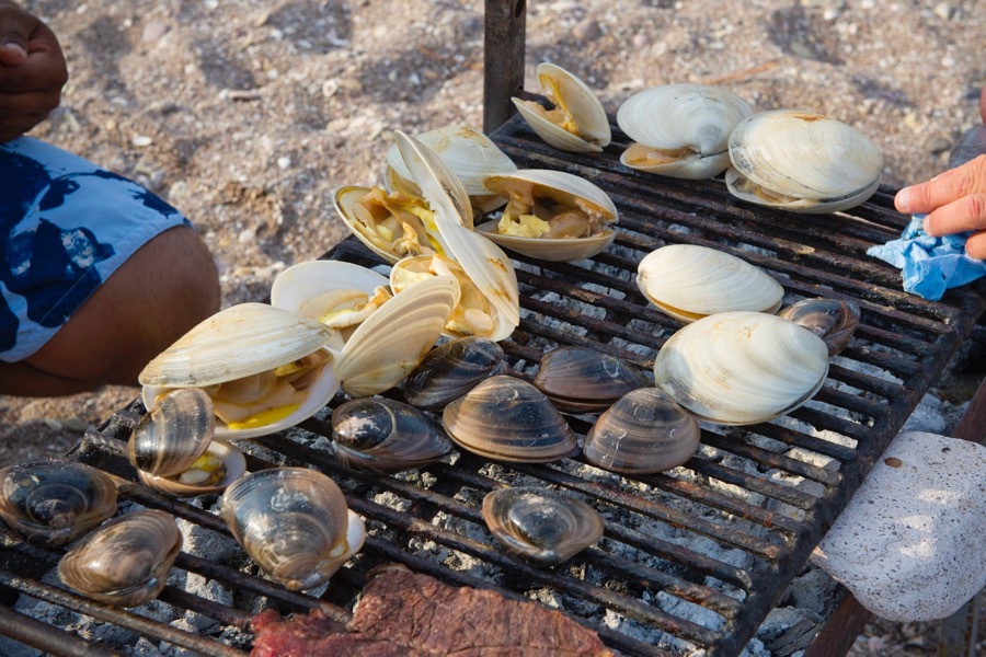 BC clams on grill 9x6