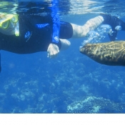 ES Sean snorkeling with sea lion 9x6
