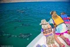 ES:BWE kids looking at dolphins 9x6