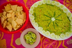 All guacamole 9x6