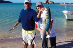 Fishing Suzy and yellowtail 9x6