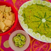 All guacamole 9x6