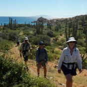 IH hiking Catalina 9x6