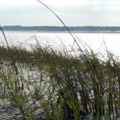 MB camp in distance from mangroces