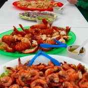 MB shrimp and lobster