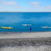 MB kayakers along shore in front of camp