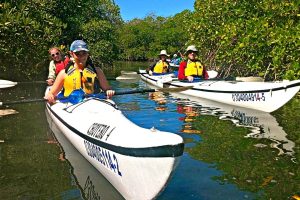 dt-double-kayaks-mangroves-9x6