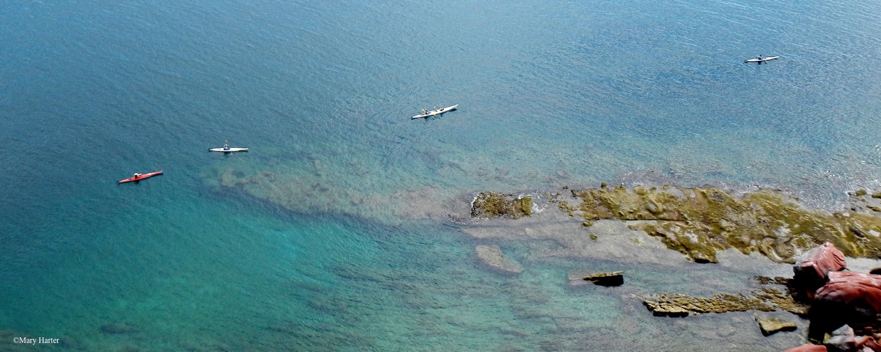 Baja Coast & Islands, Loreto to La Paz (9 days)