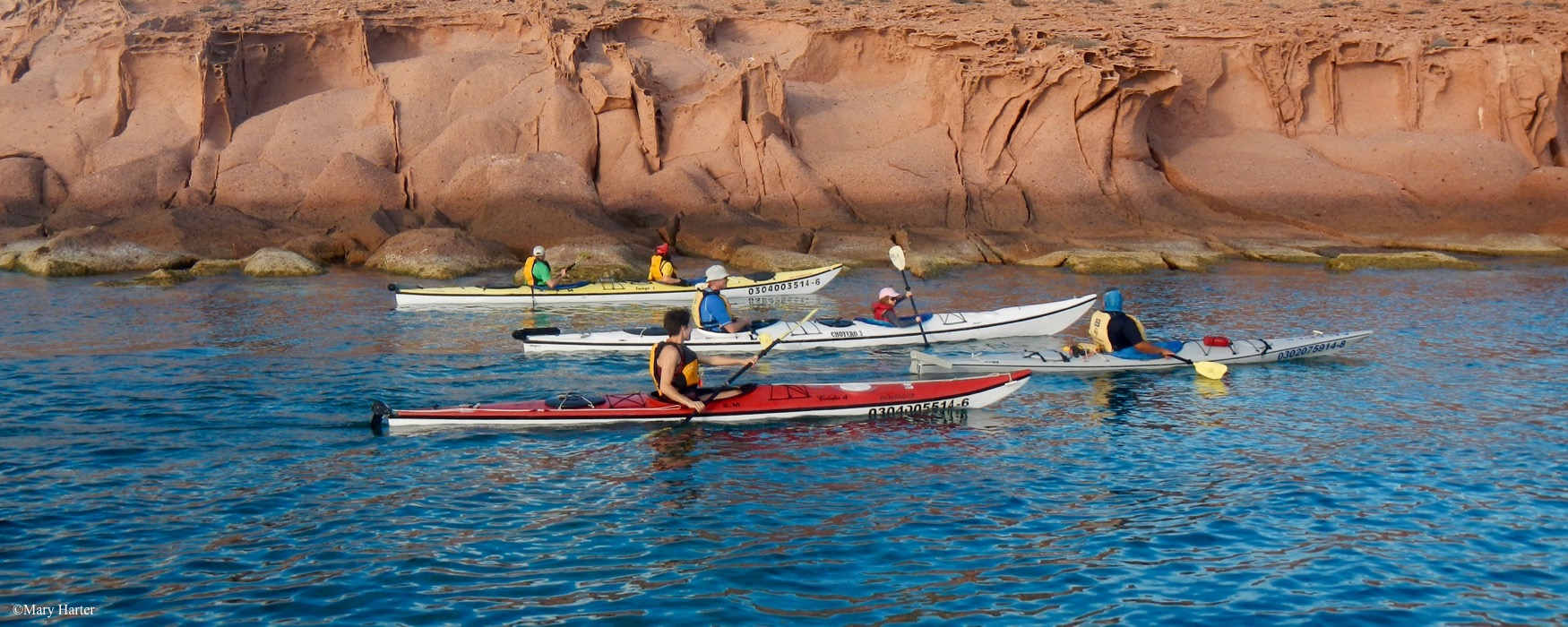 Island Kayaking & Marine Wildlife (8 days)